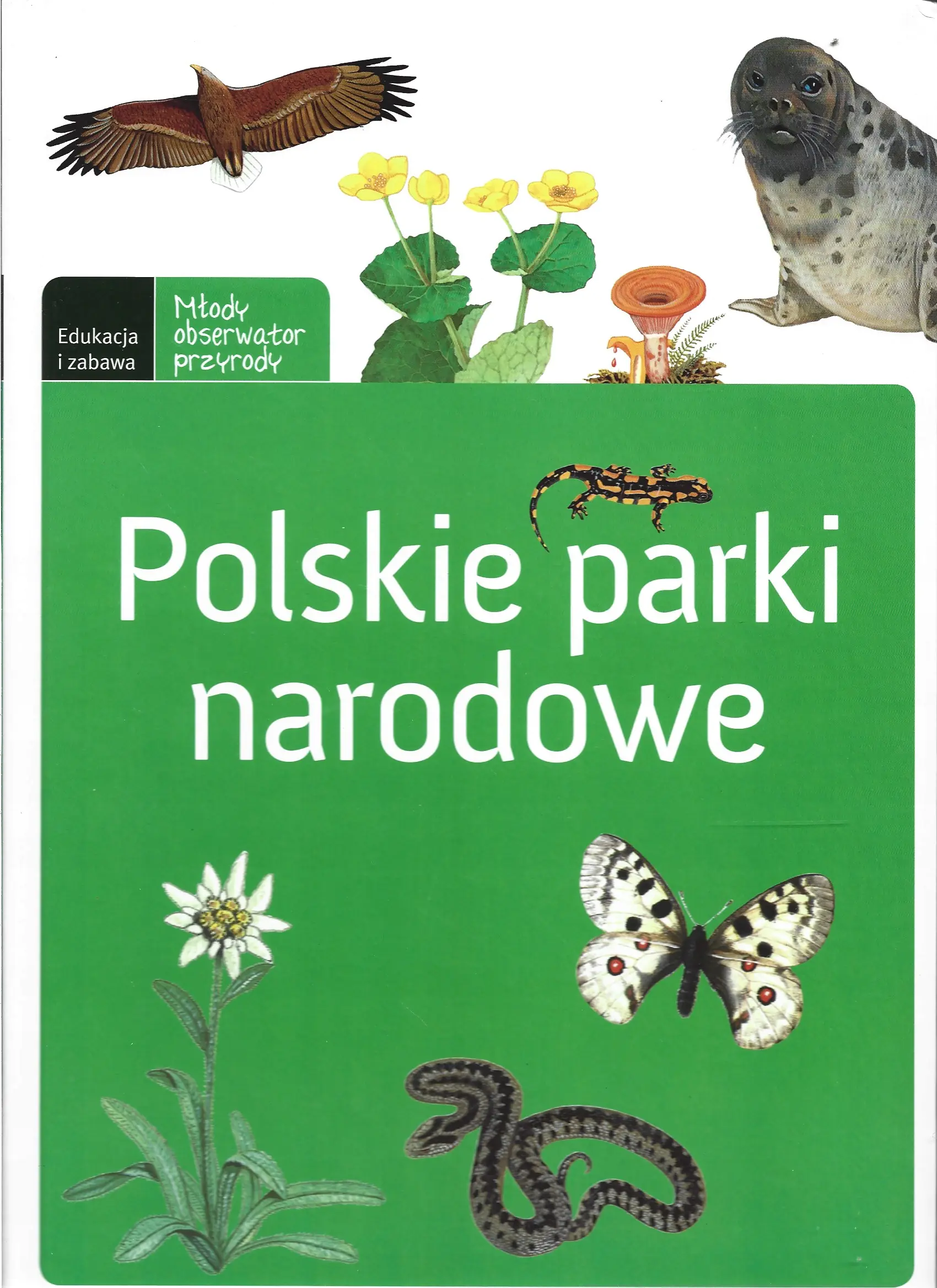 Książka - MOP Polskie Parki Narodowe