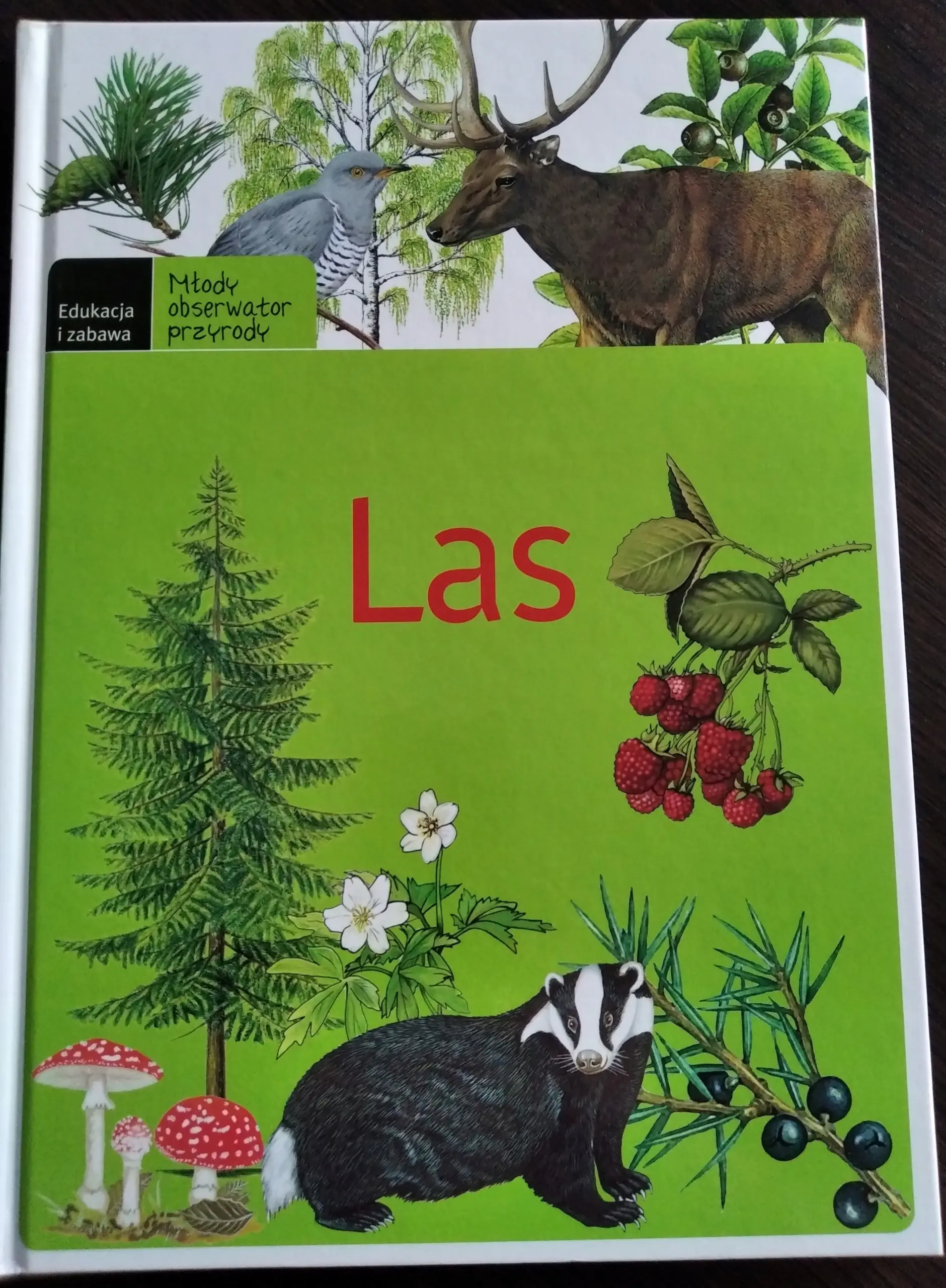 Książka - Las