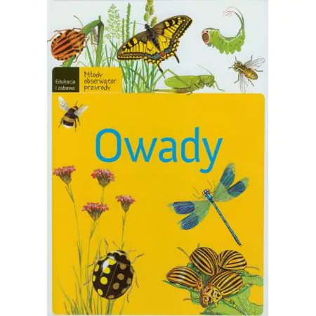 Owady