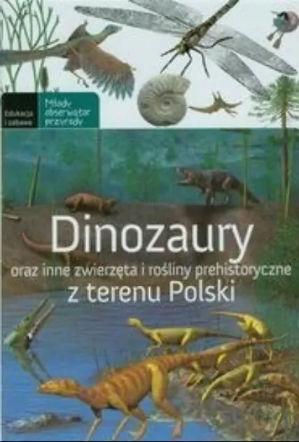 Książka - Dinozaury