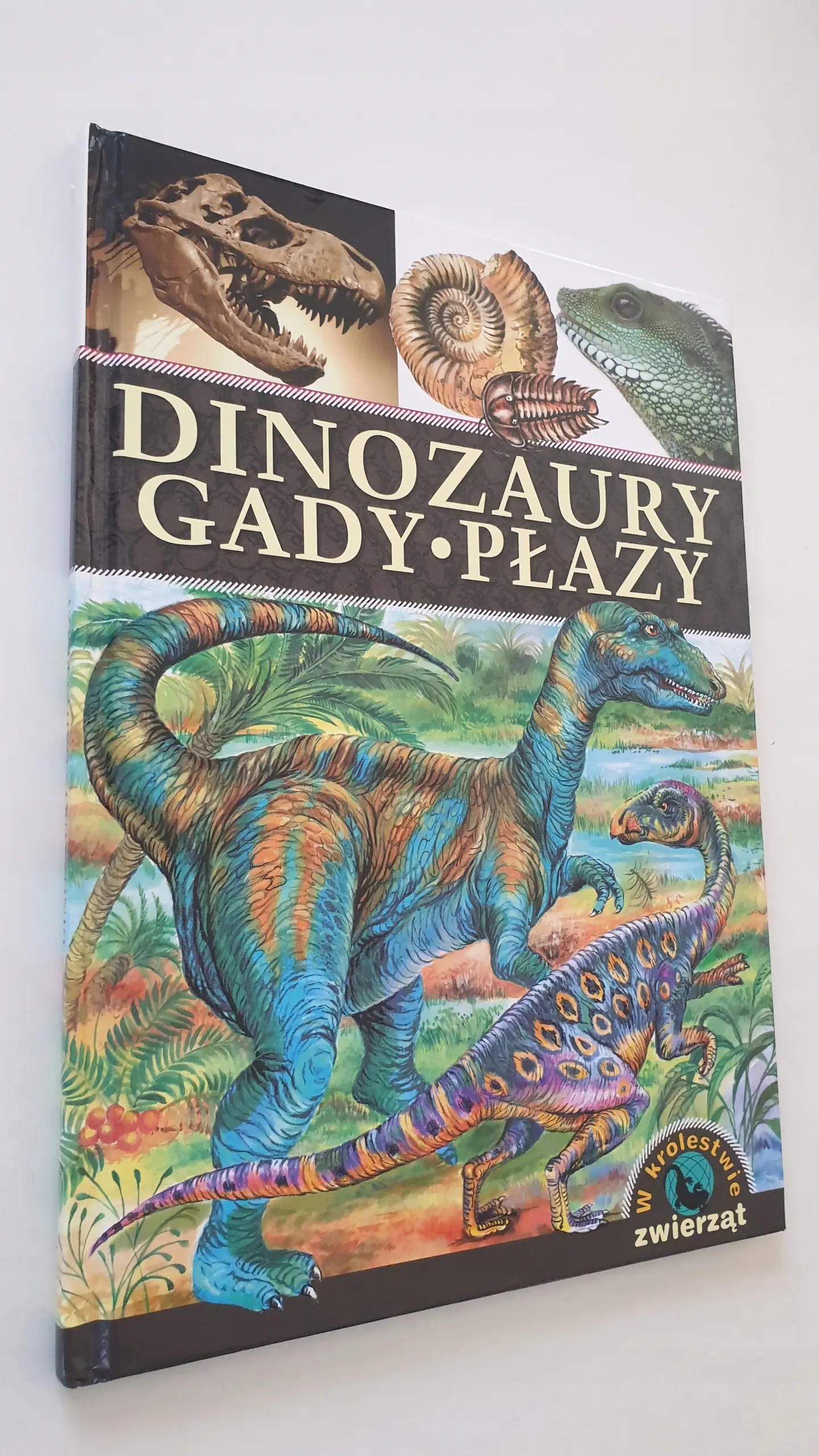 Książka - Dinozaury Gady Płazy W królestwie zwierząt