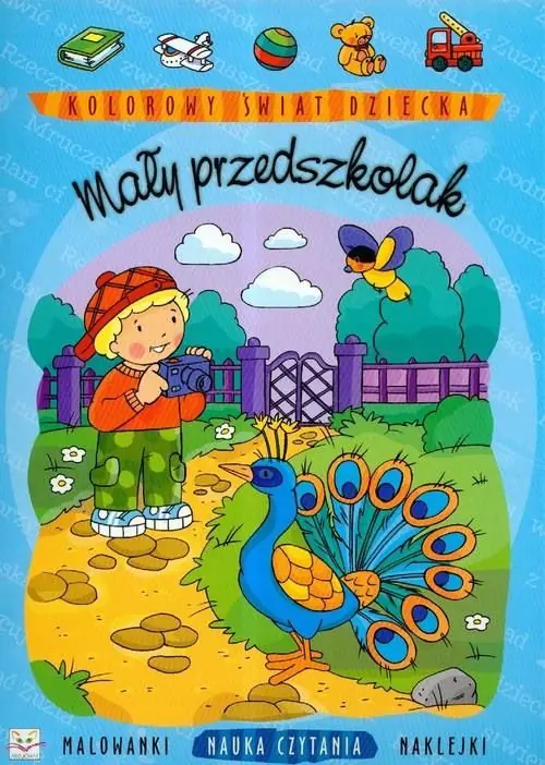 Książka - Mały przedszkolak. Kolorowy świat dziecka