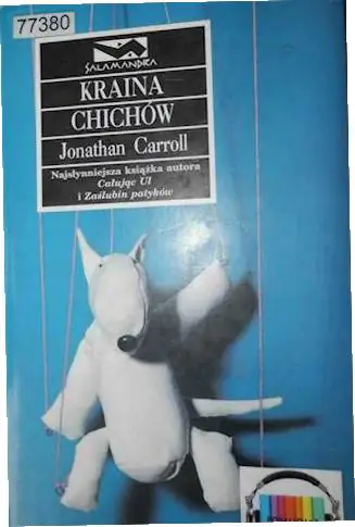 Książka - Kraina Chichów