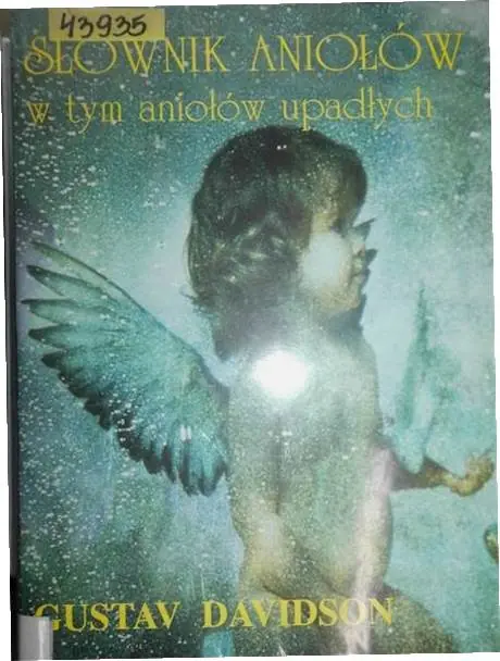 Książka - Słownik Aniołów