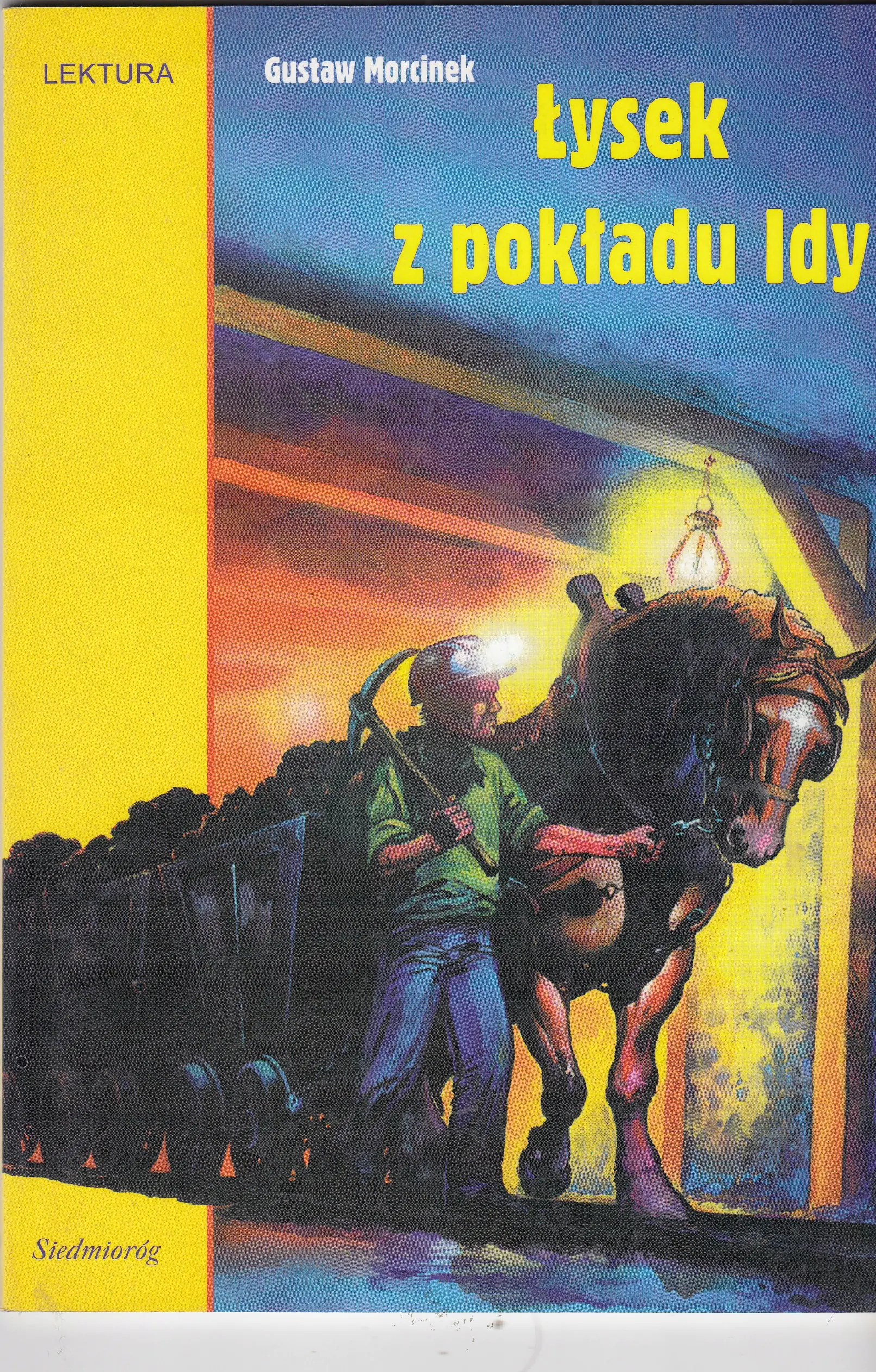 Książka - Łysek z pokładu Idy