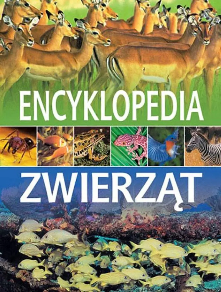 Książka - Encyklopedia zwierząt