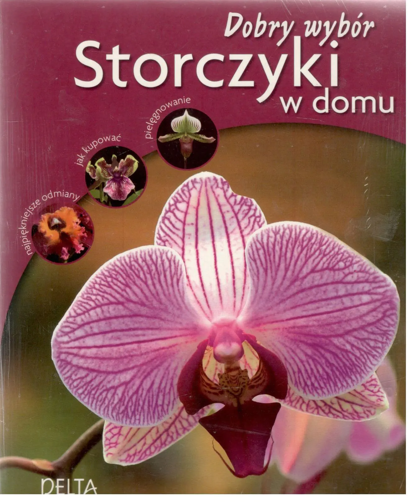 Książka - Storczyki w domu. Dobry wybór