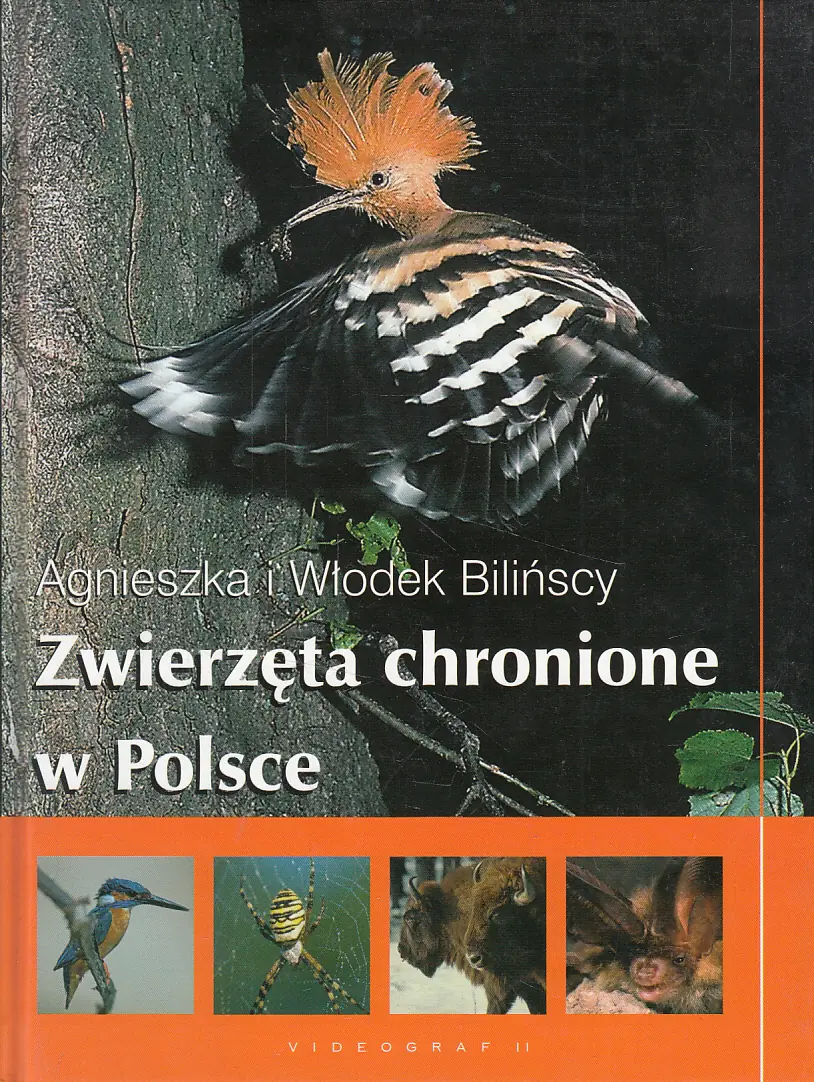 Książka - Zwierzęta chronione w Polsce
