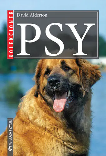 Książka - Psy