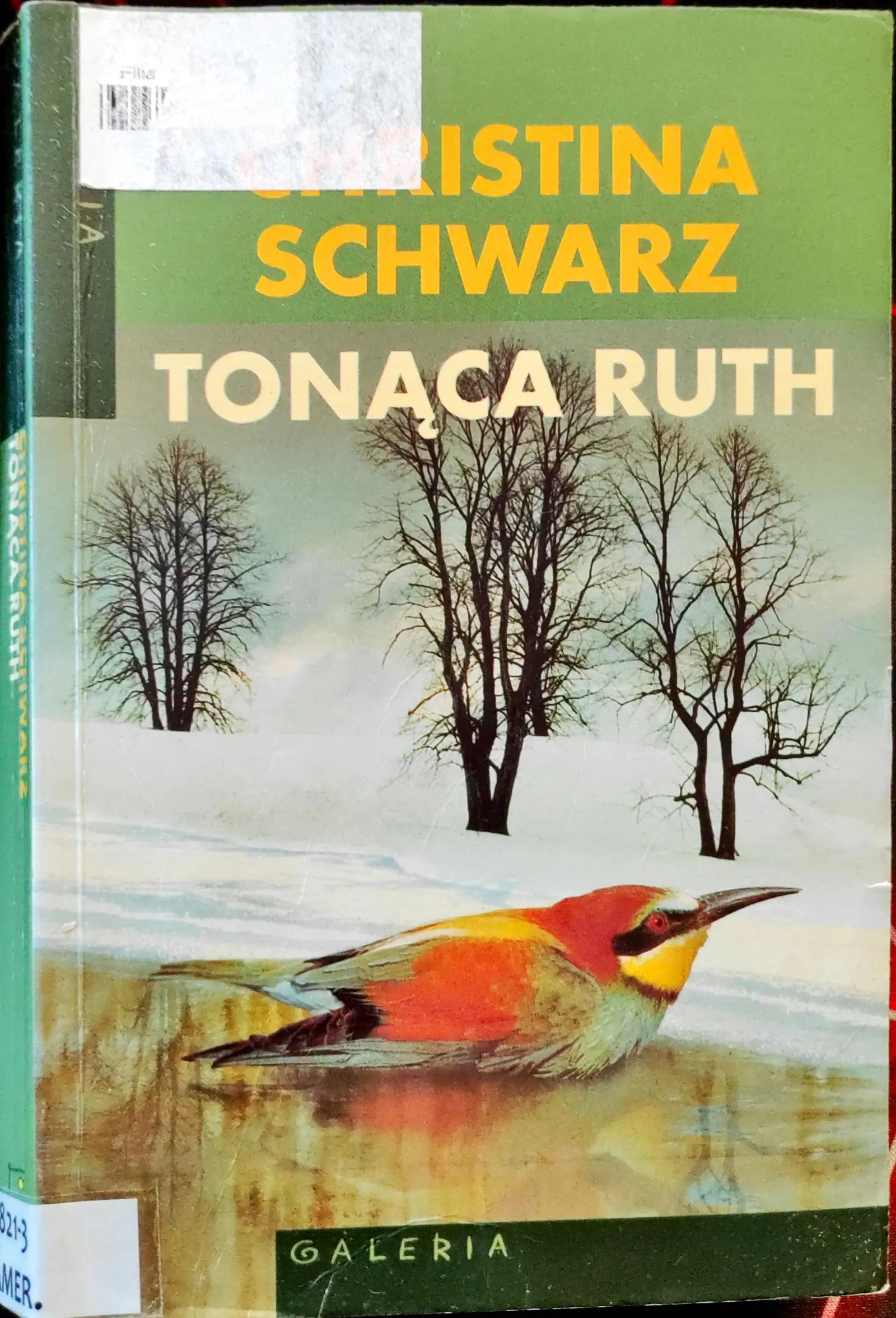 Książka - Tonąca Ruth