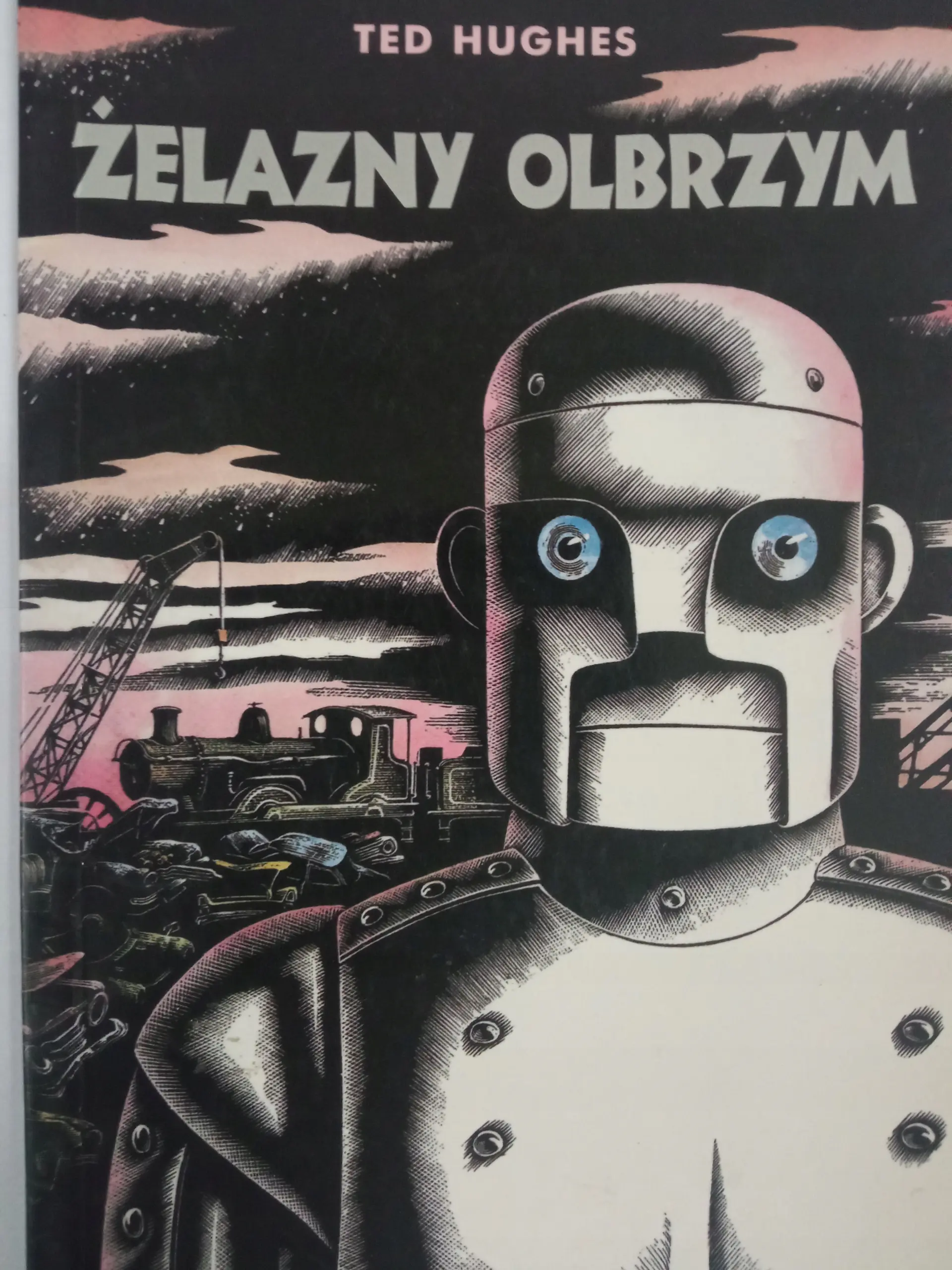 Książka - Żelazny olbrzym