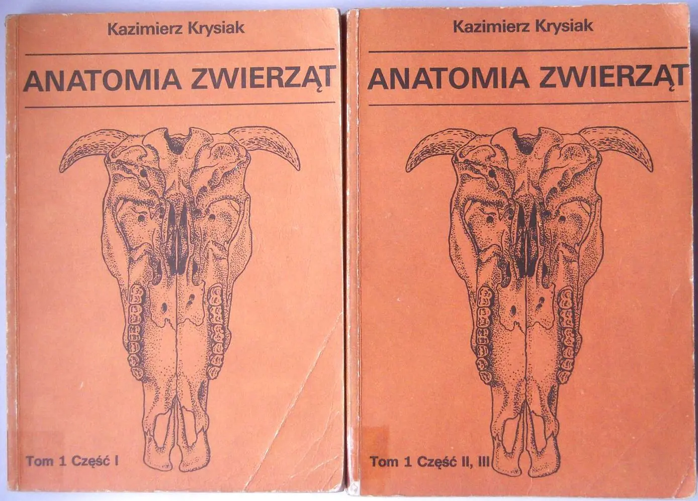 Książka - Święci na każdy dzień