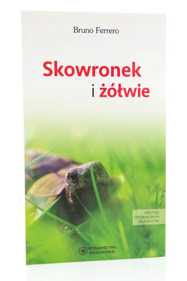 Książka - Skowronek i żółwie. Krótkie opowiadania dla ducha