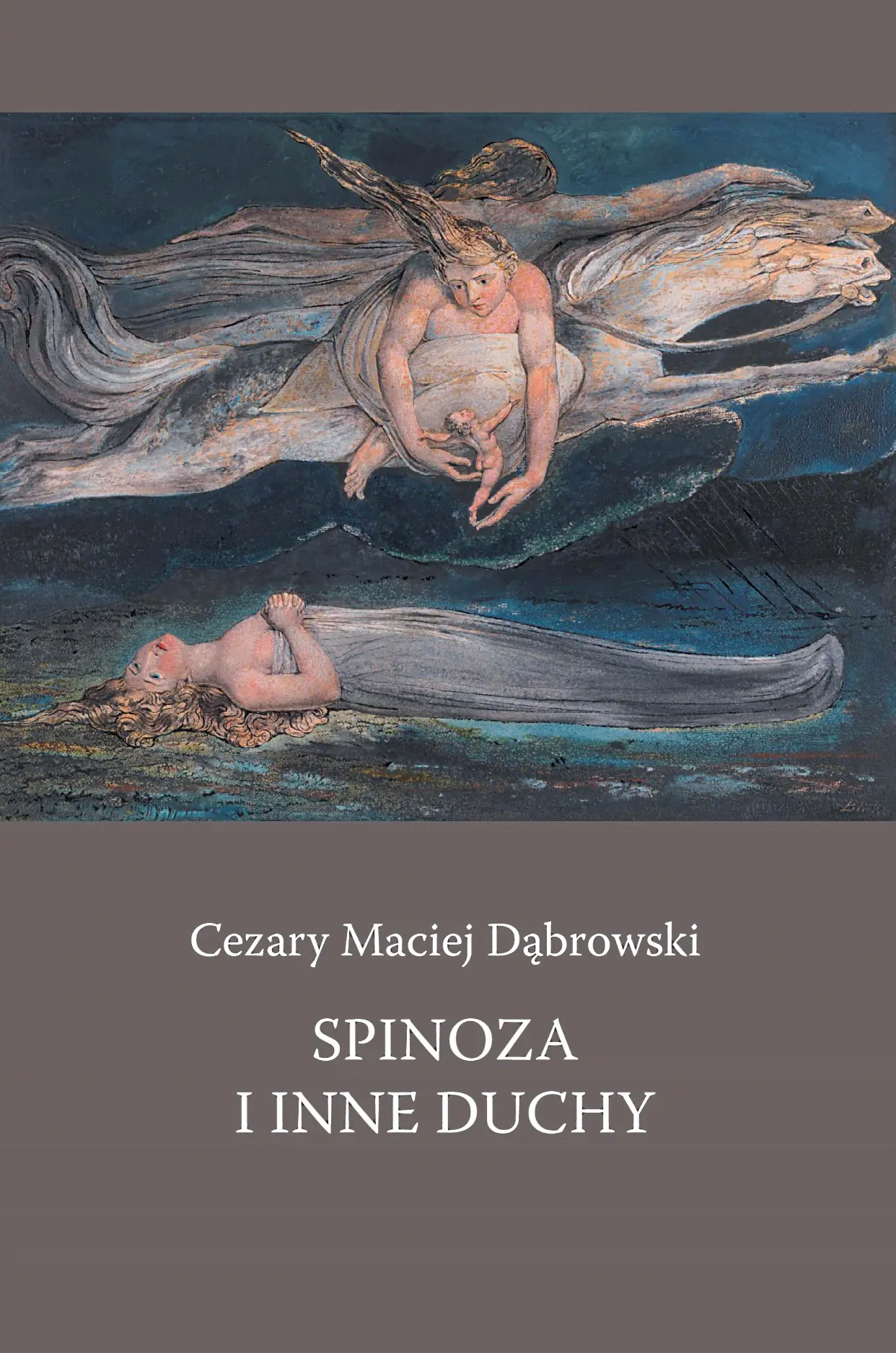 Książka - Spinoza i inne duchy