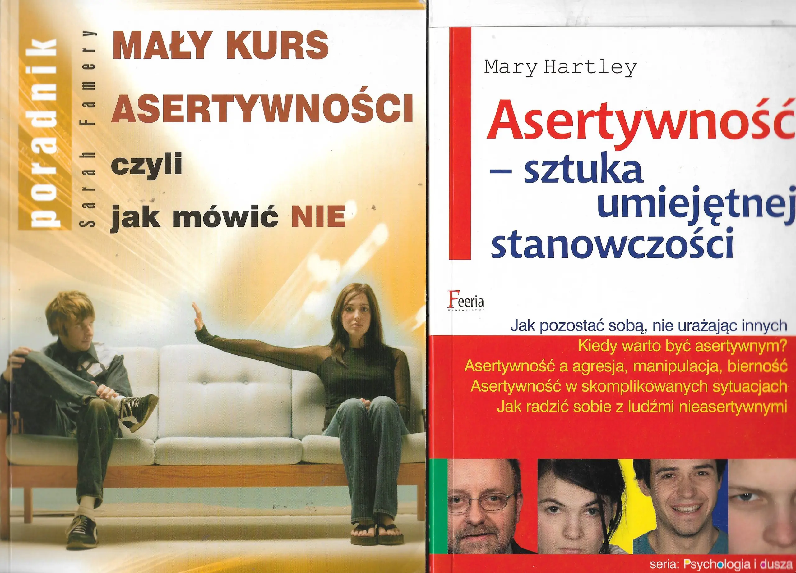 Książka - Asertywność. Sztuka umiejętnej stanowczości