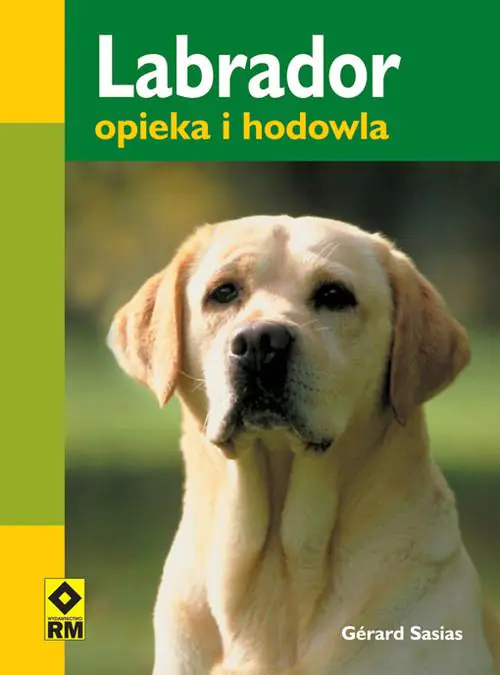 Książka - Labrador. Opieka i wychowanie