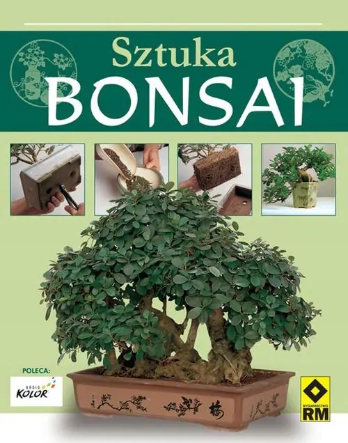 Książka - Sztuka bonsai