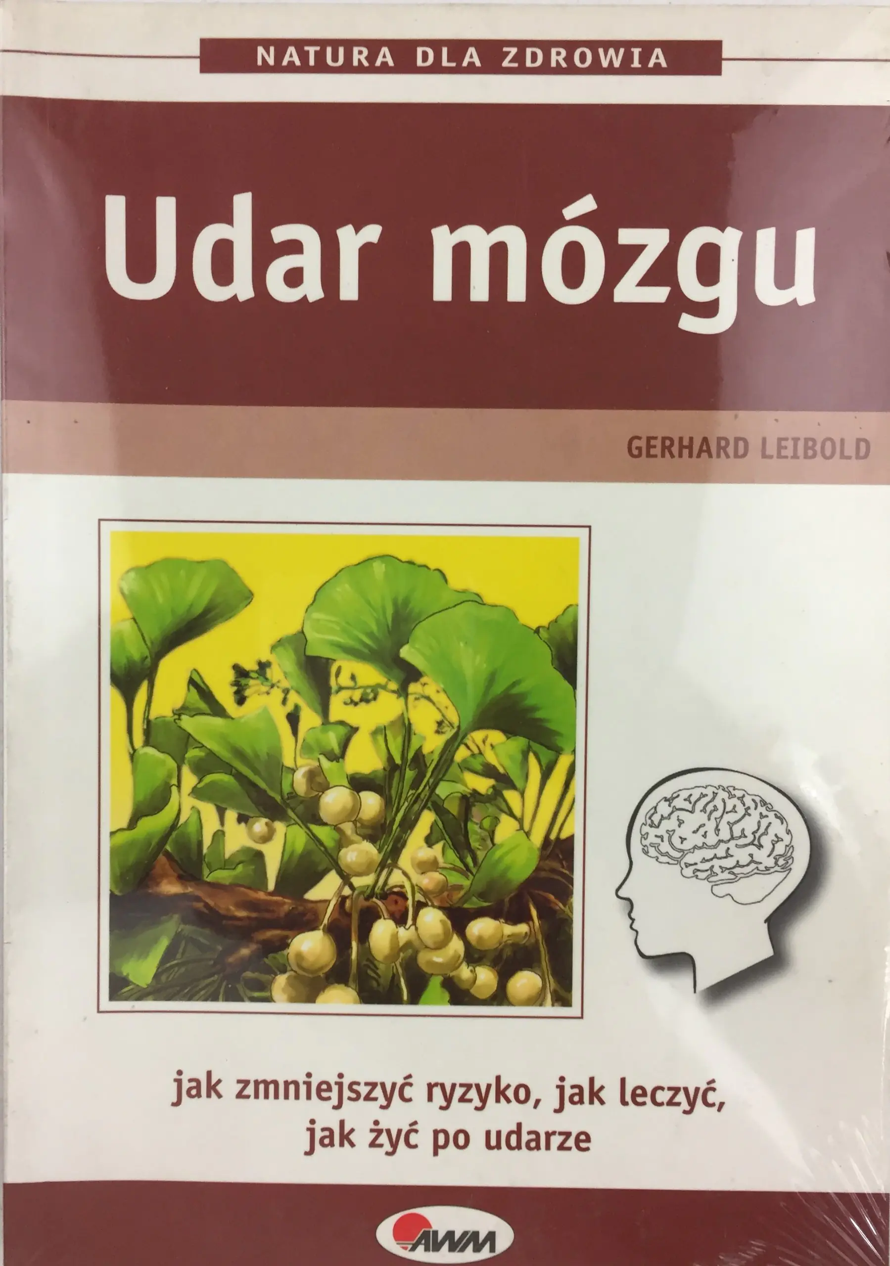 Książka - Udar mózgu