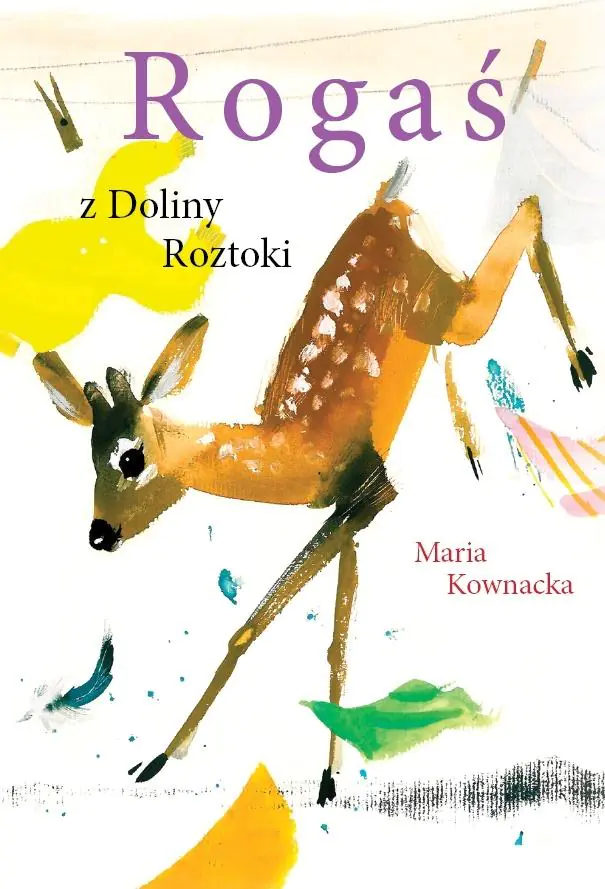 Książka - Rogaś z Doliny Roztoki