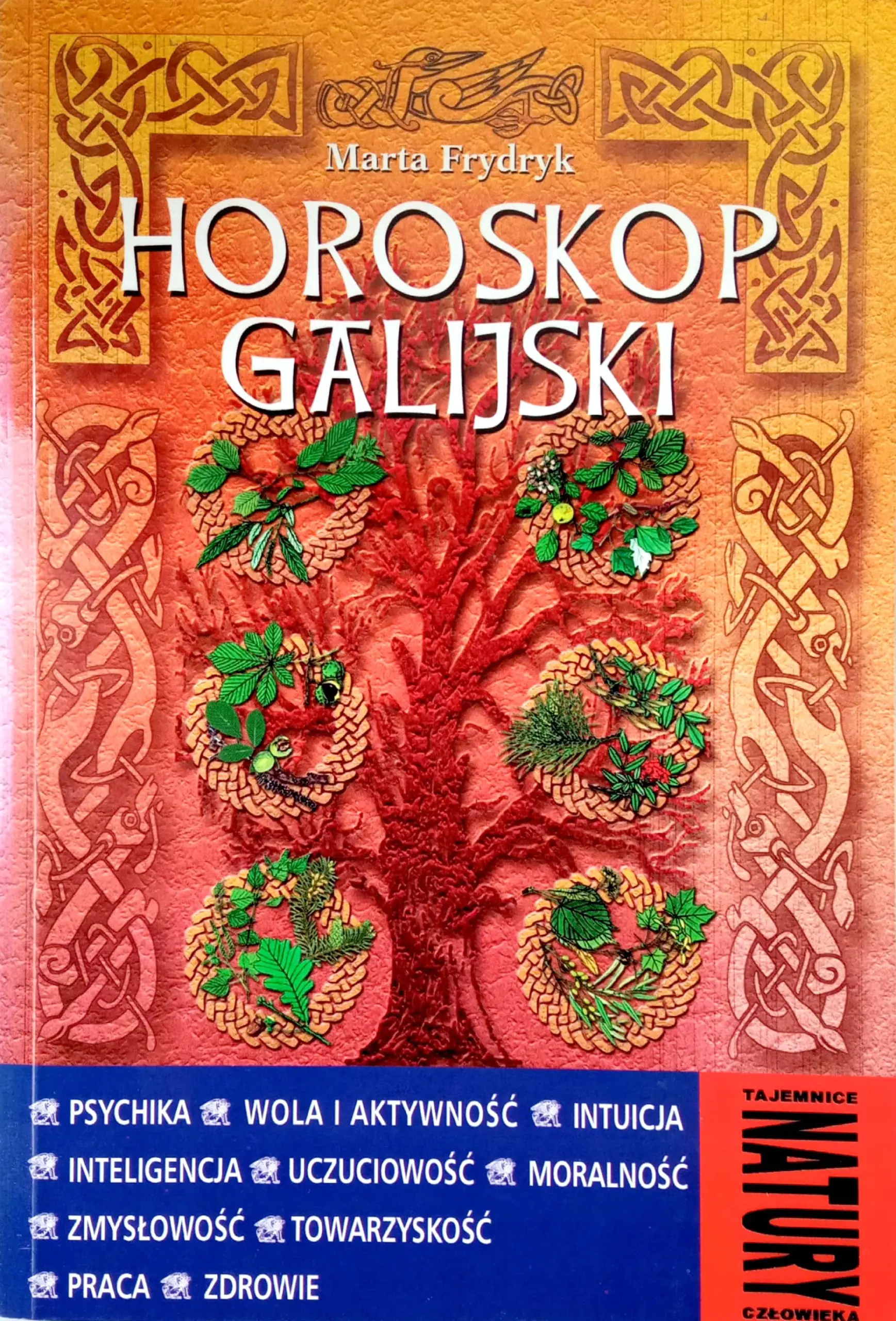 Książka - Horoskop galijski