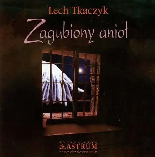 Książka - Zagubiony anioł