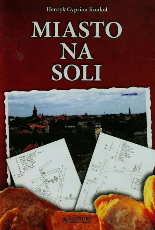 Książka - Miasto na soli