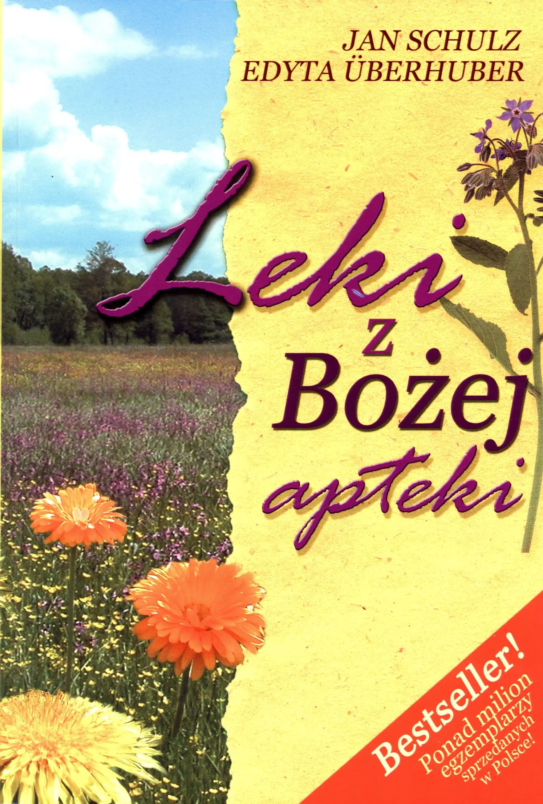 Książka - Leki z bożej apteki