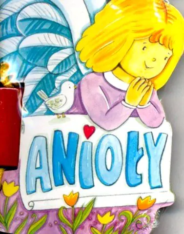 Książka - Anioły WDS