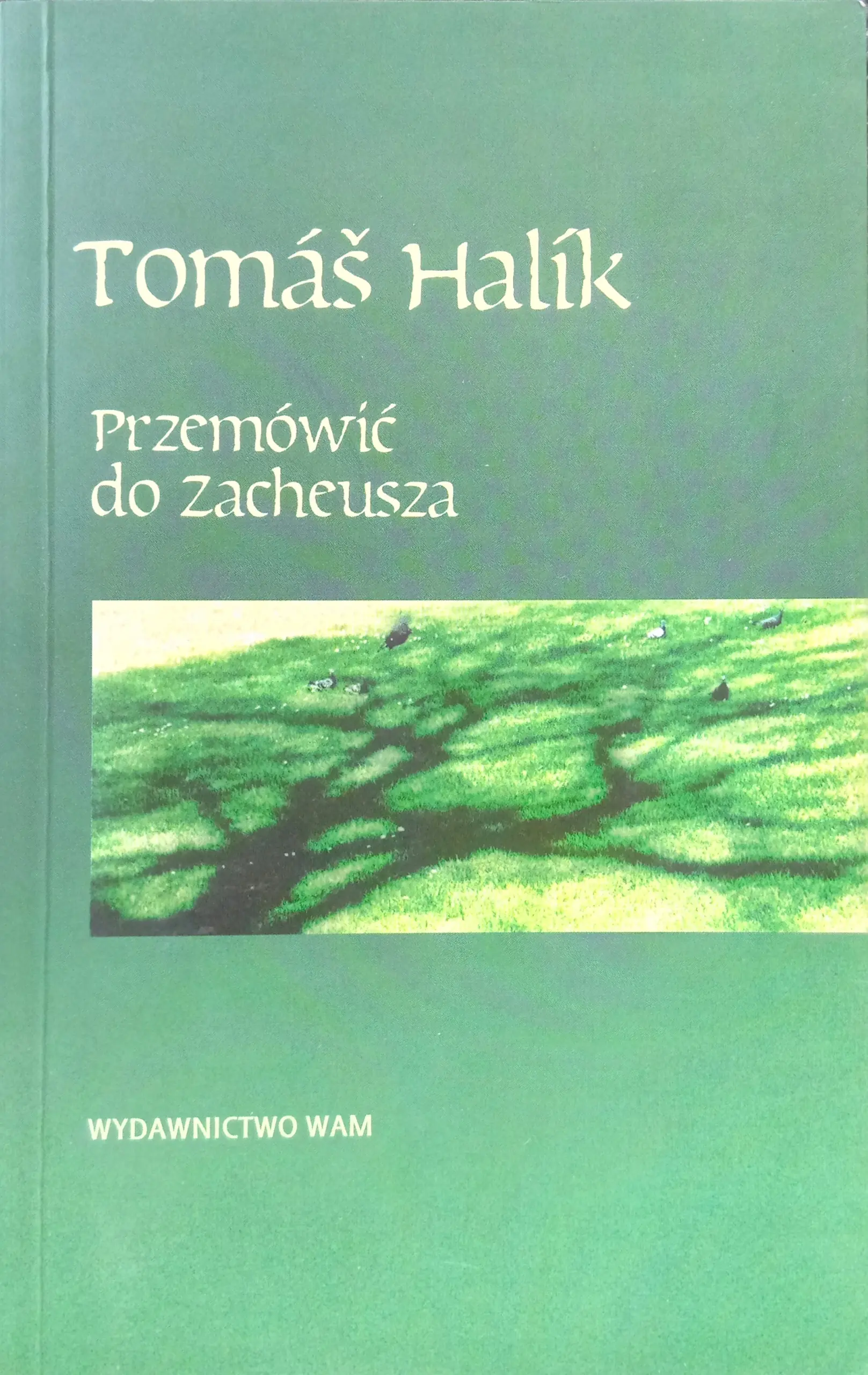 Książka - Przemówić do Zacheusza
