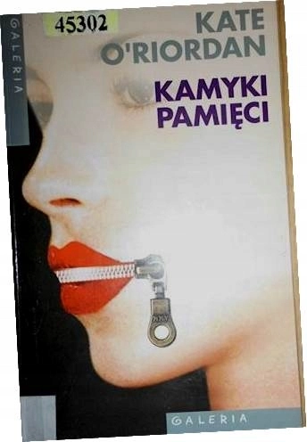 Książka - Kamyki pamięci