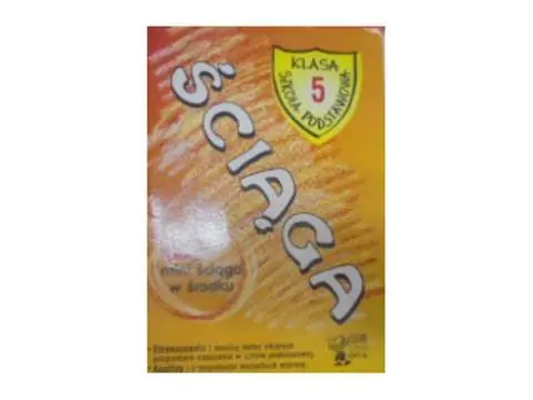 Książka - Ściąga SP KL 5 Język polski