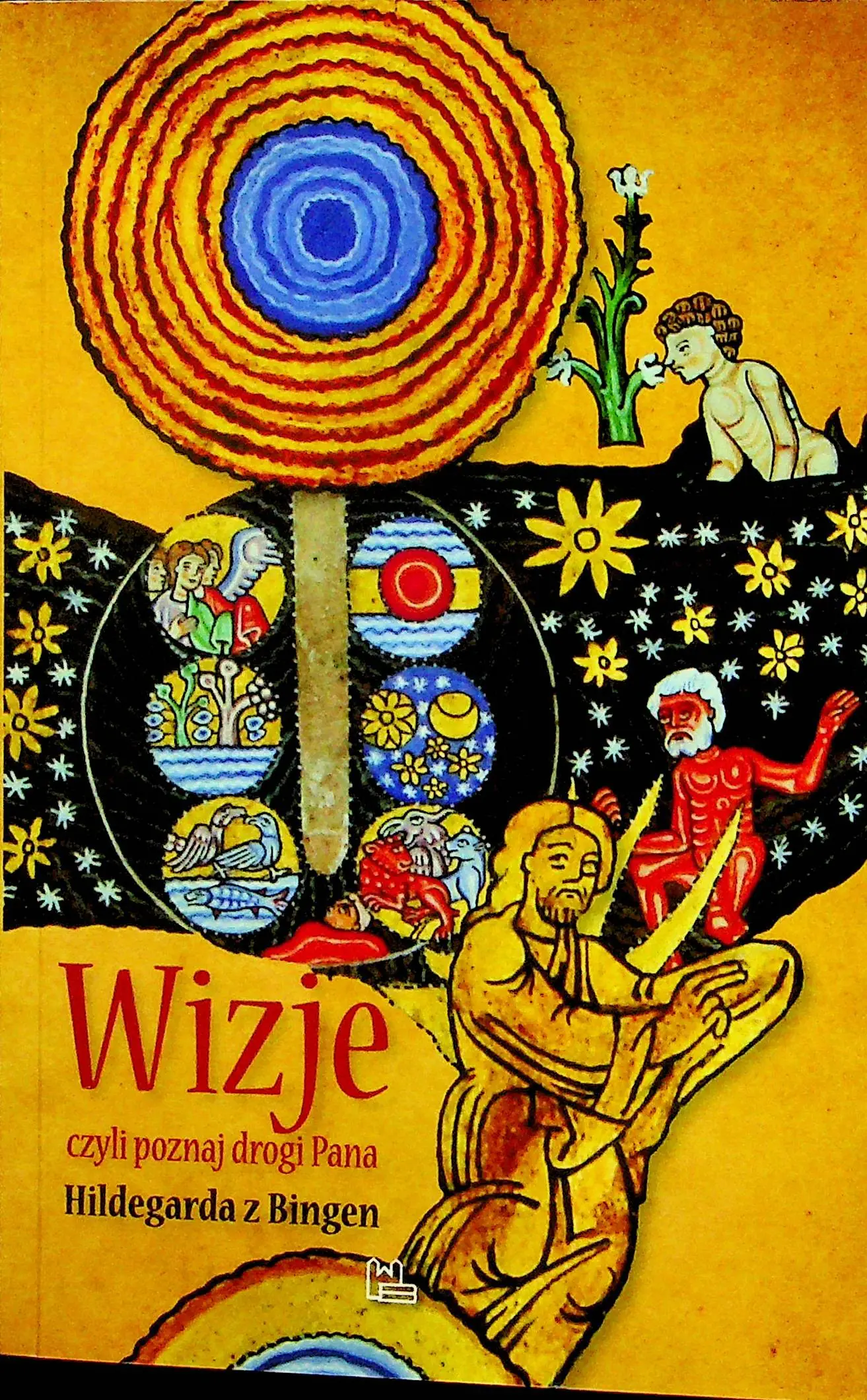 Książka - Wizje czyli poznaj drogi Pana