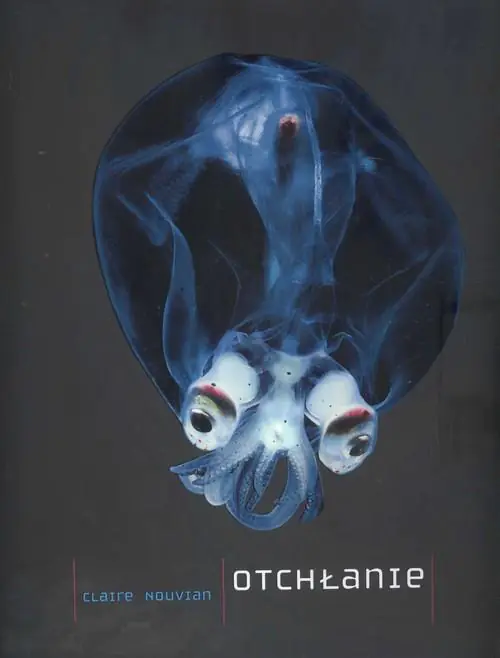 Książka - Otchłanie