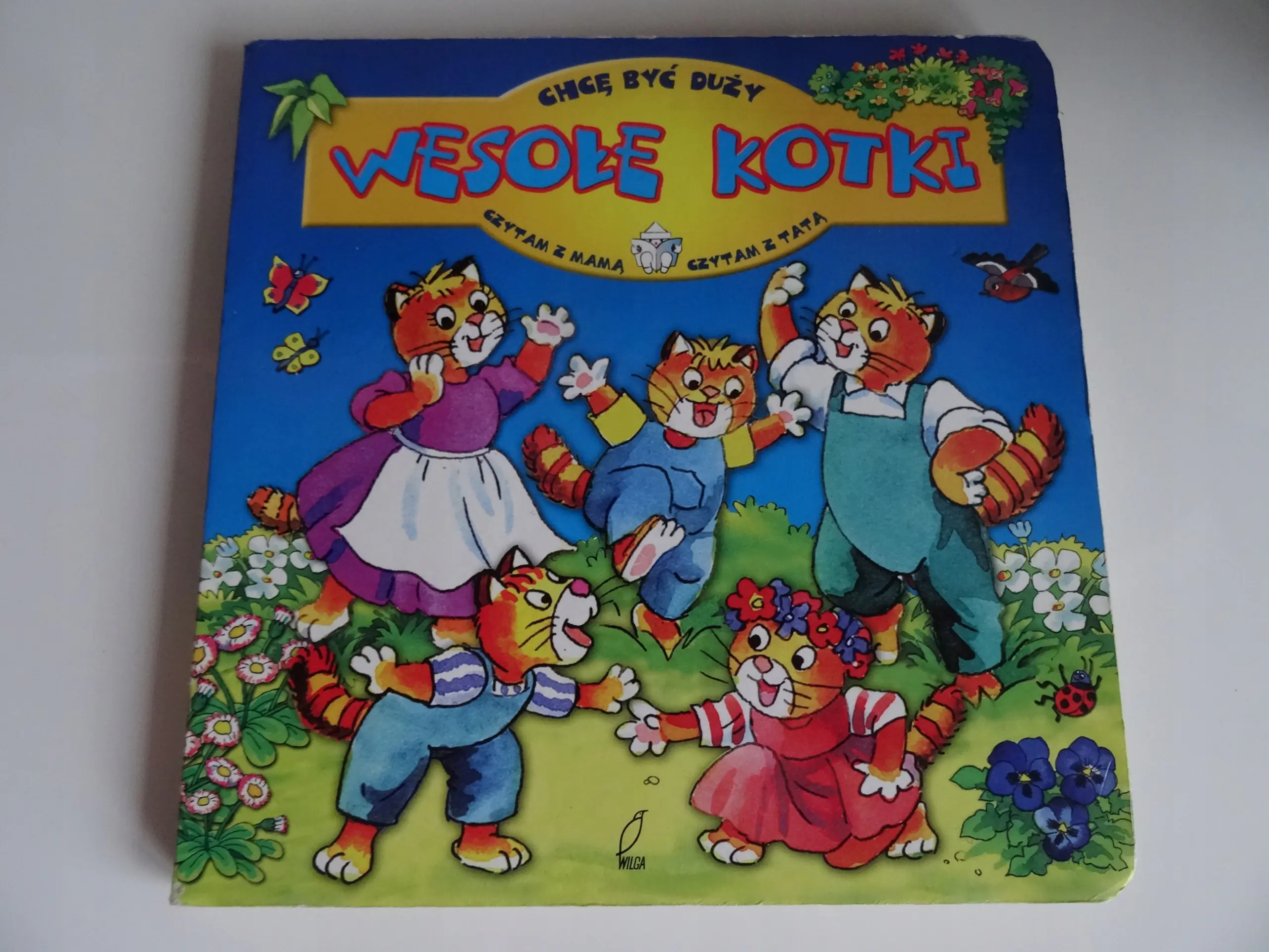 Książka - Wesołe kotki. Chcę być duży