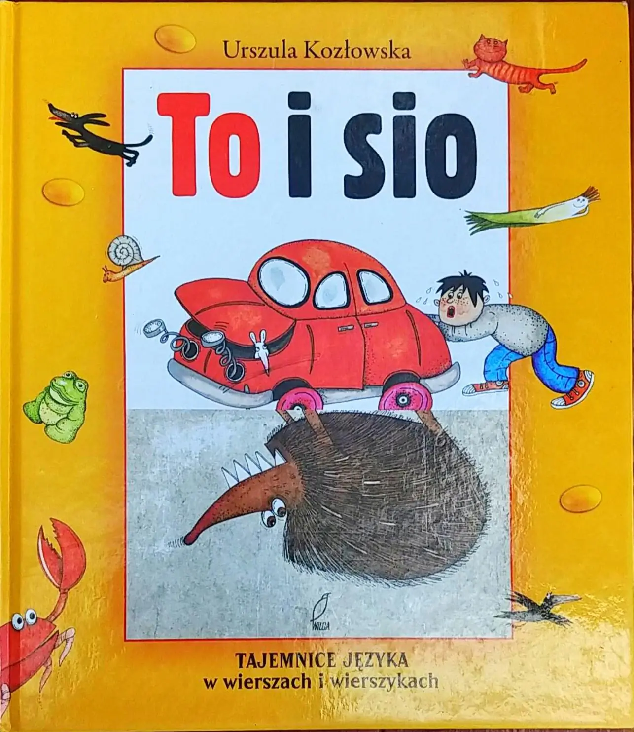 Książka - To i sio