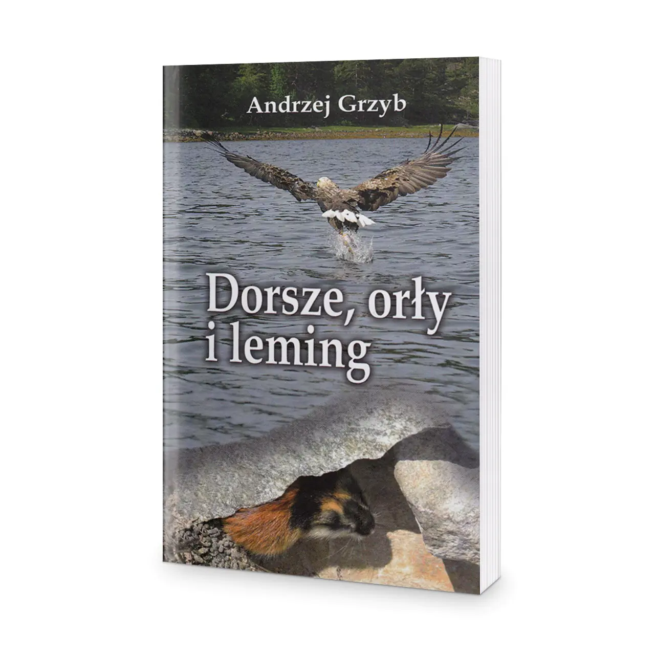 Książka - Dorsze, orły i leming