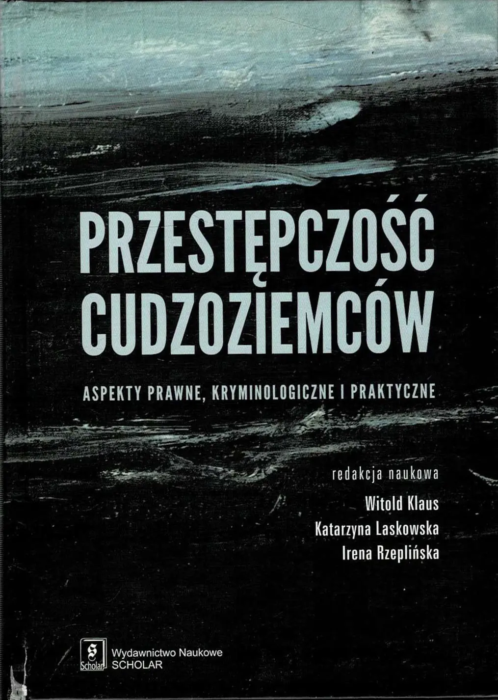 Książka - Przestępczość Cudzoziemców. Aspekty Prawne, Kryminologiczne I Praktyczne