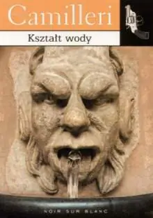 Książka - Kształt wody