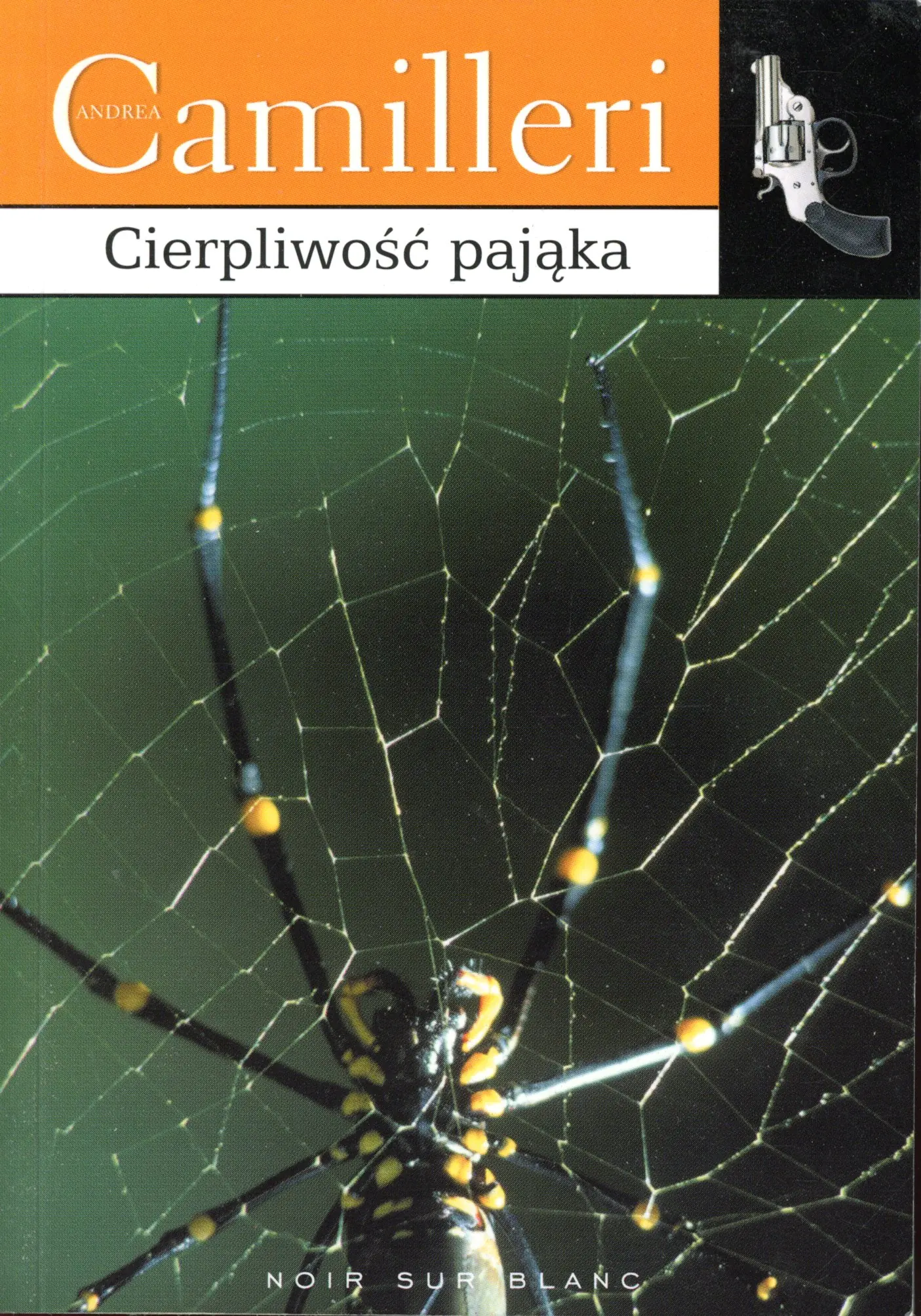 Książka - Cierpliwość pająka