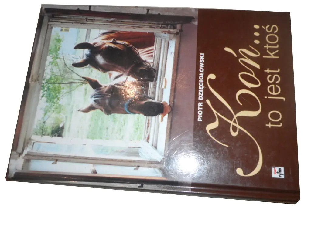 Książka - Koń to jest ktoś