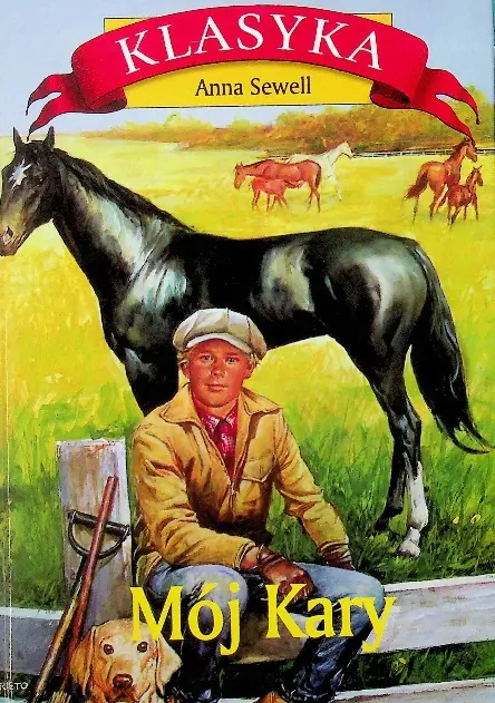 Książka - Mój kary