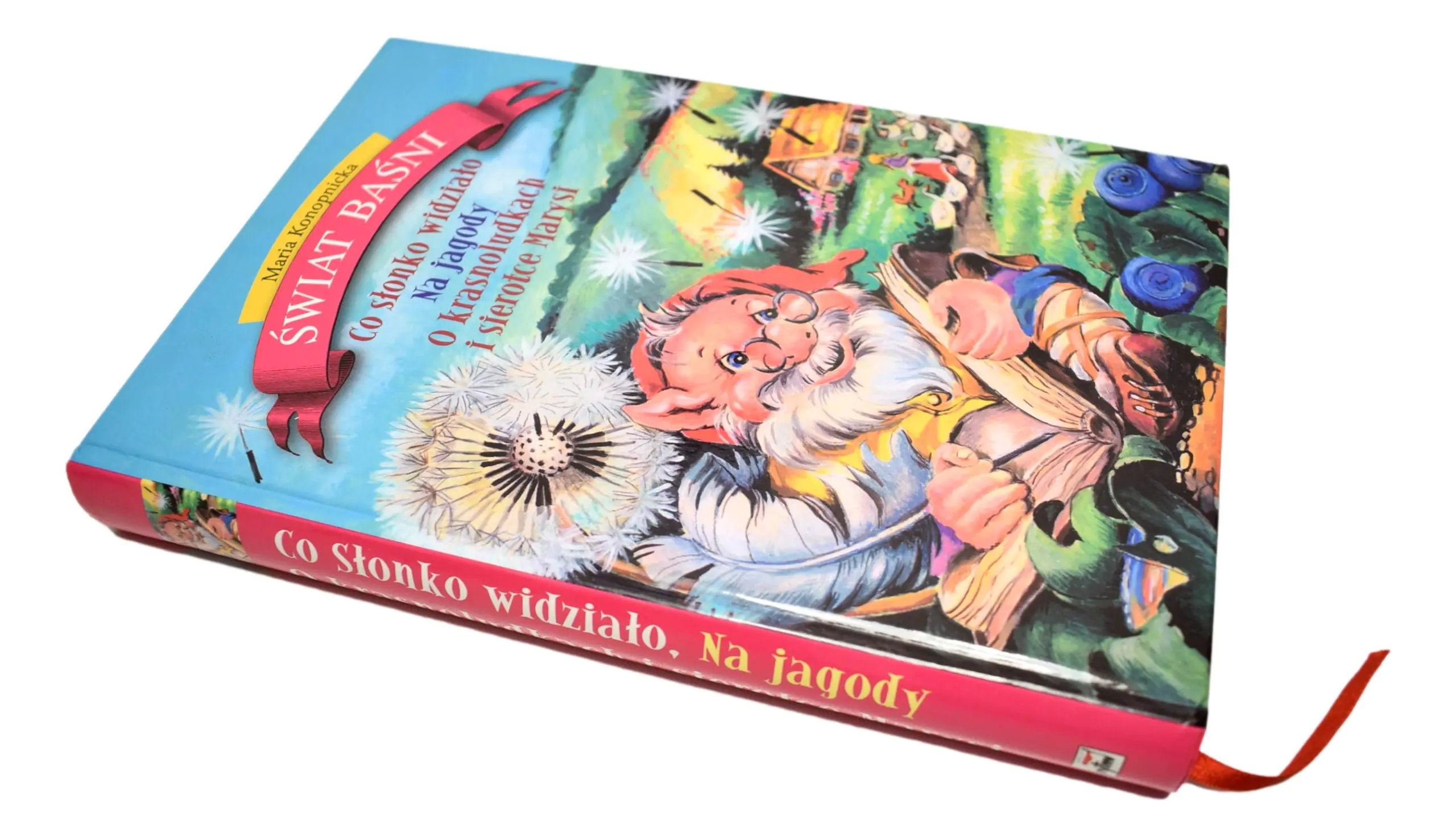 Książka - Co słonko widziało Na jagody O krasnoludkach i sierotce Marysi