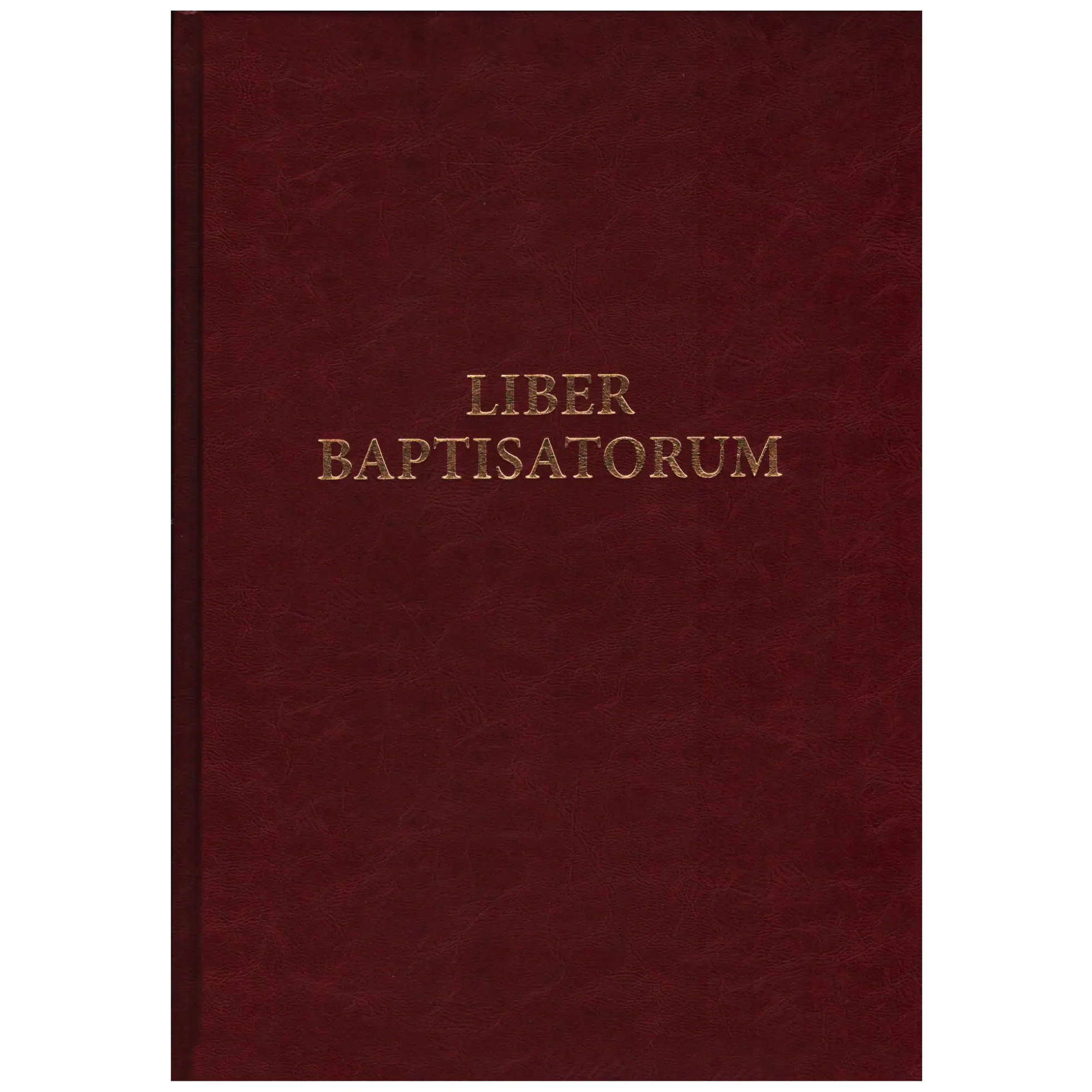 Książka - Liber baptisatorum
