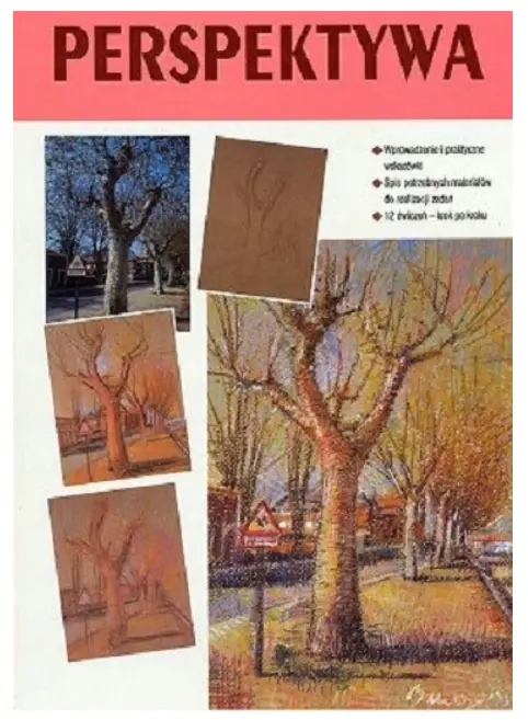 Książka - Perspektywa