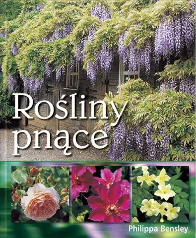 Książka - Rośliny pnące