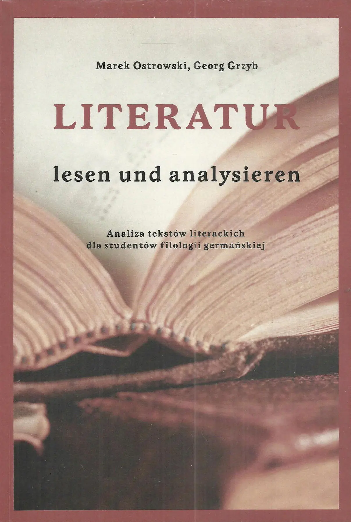 Książka - Literatur lesen und analysieren