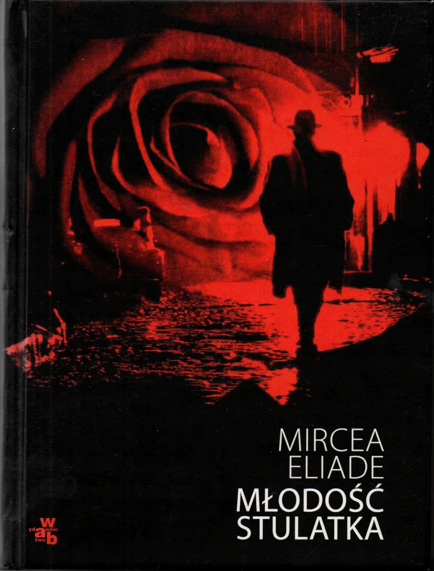 Książka - Młodość stulatka