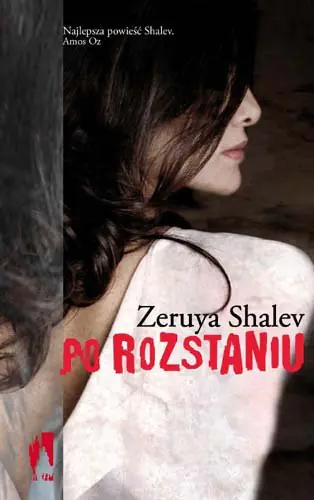 Książka - Po rozstaniu