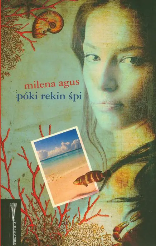 Książka - Póki rekin śpi