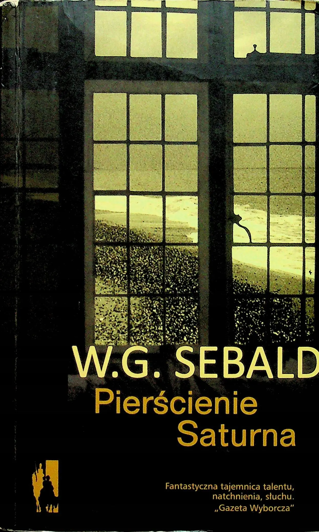 Książka - Pierścienie Saturna